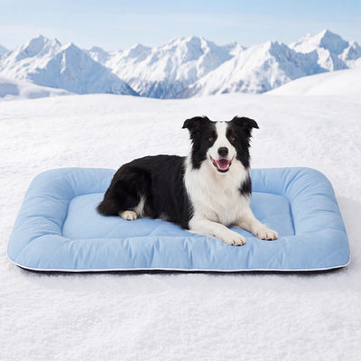 Alfombrilla refrigeración perros extragrandes 41x27pulg azul