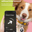 Soporte Airtag TPU resistente arañazos para llaves mascotas niños