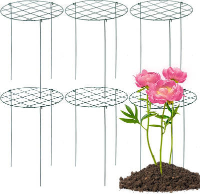 6 Pzas Jaulas Peonía 16x24pulg Soportes para Plantas