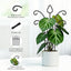4 Enrejados Metal Negro Mate para Plantas Trepadoras
