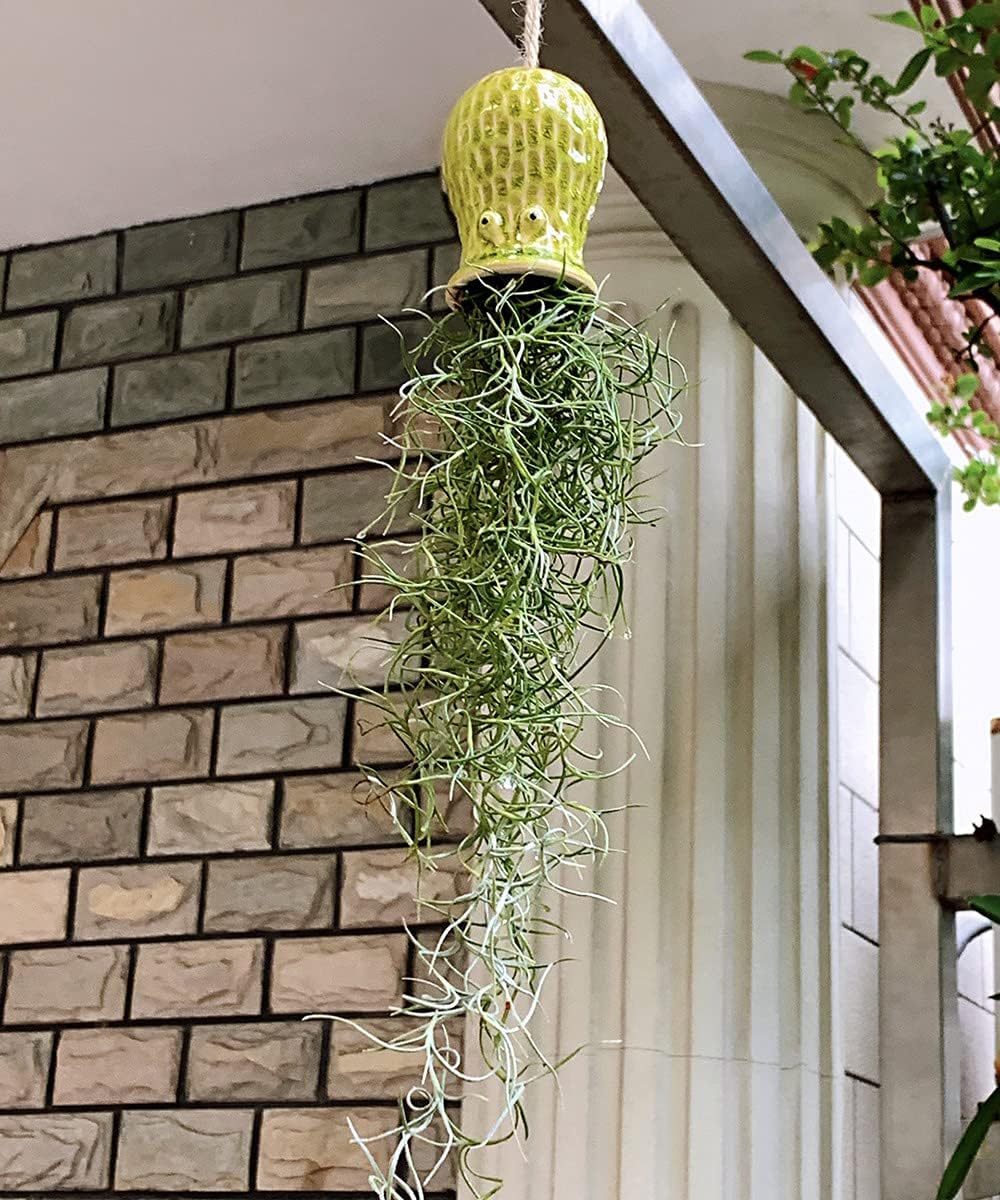 5 Soportes Cerámica para Plantas Aire Colgantes Decoración