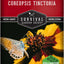 Semillas Coreopsis Plains para plantar 1 pack