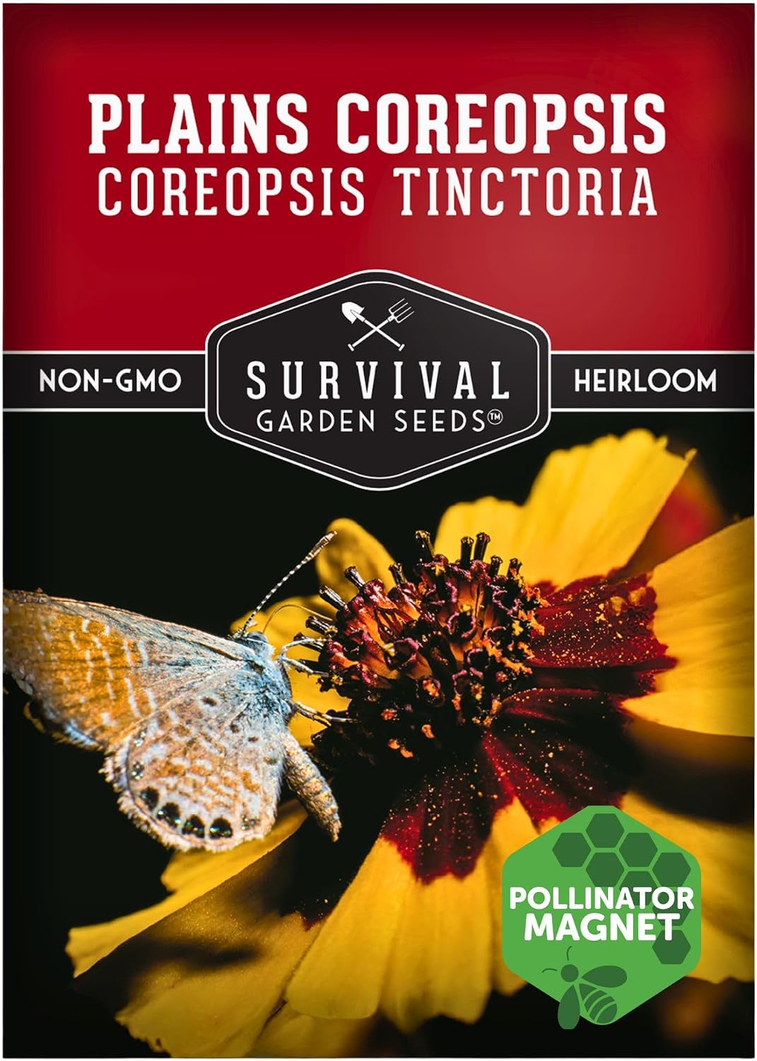 Semillas Coreopsis Plains para plantar 1 pack