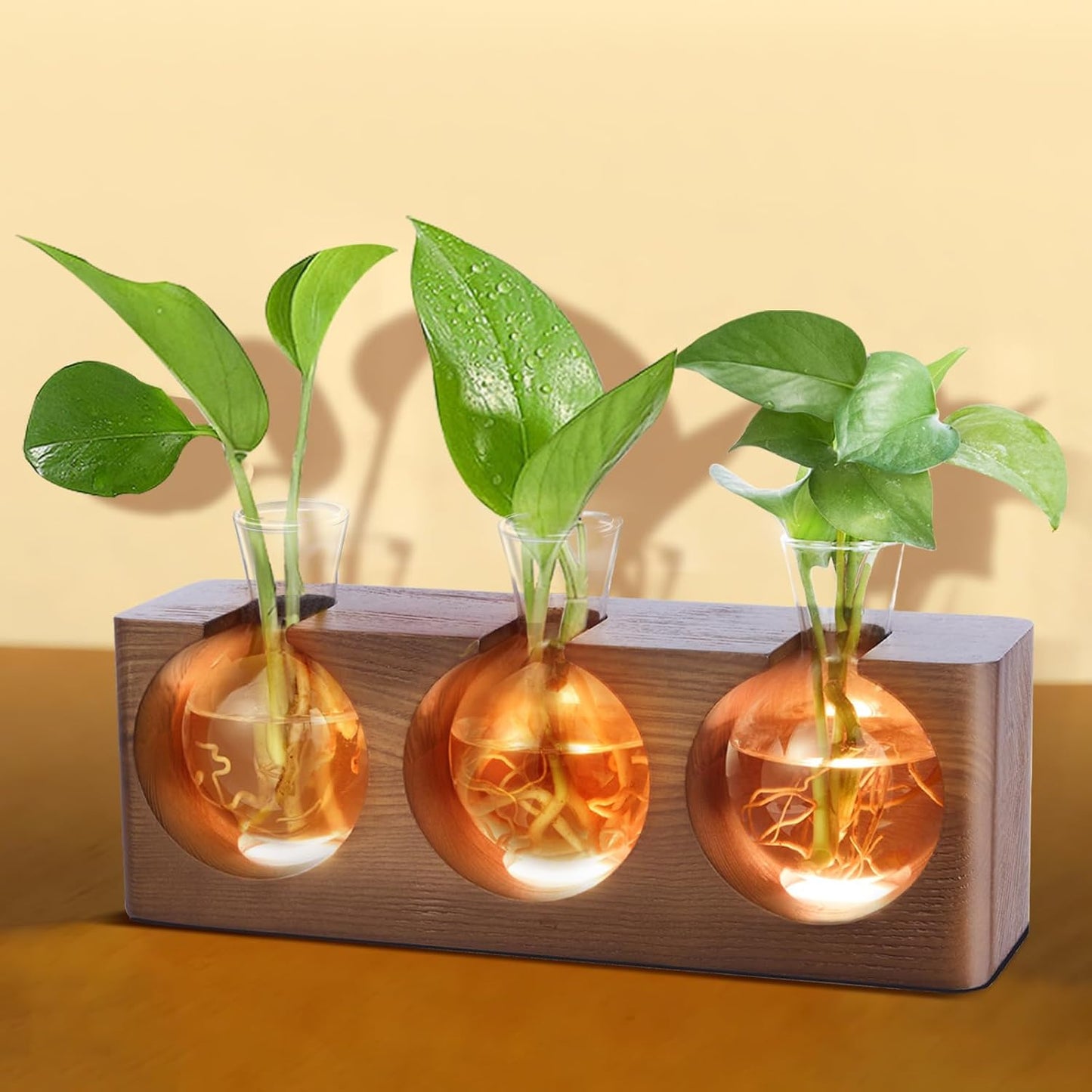 Soporte propagación plantas madera 4 modos LED 3 jarrones vidrio