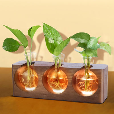 Soporte propagación plantas madera 4 modos LED 3 jarrones vidrio