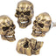 Set s divertidos para placa calavera motocicleta camiones