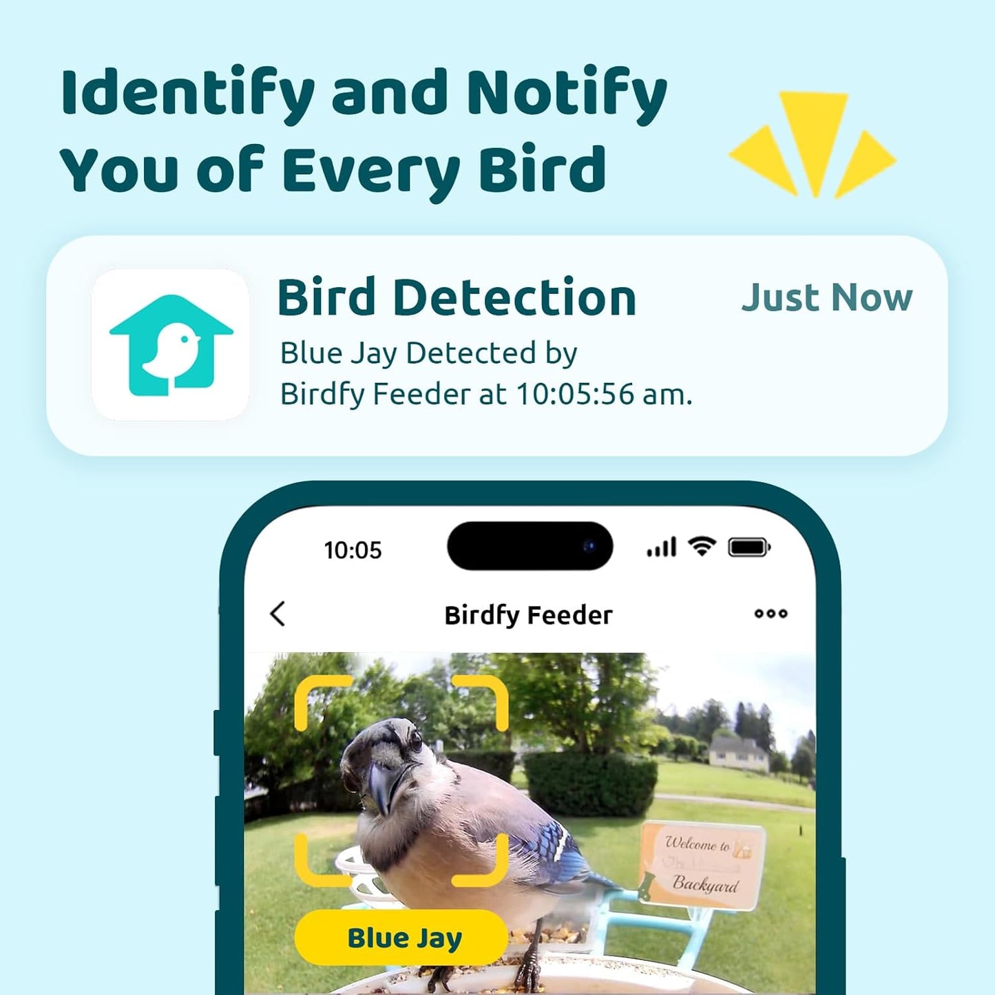 Comedero inteligente para colibríes con cámara 2en1