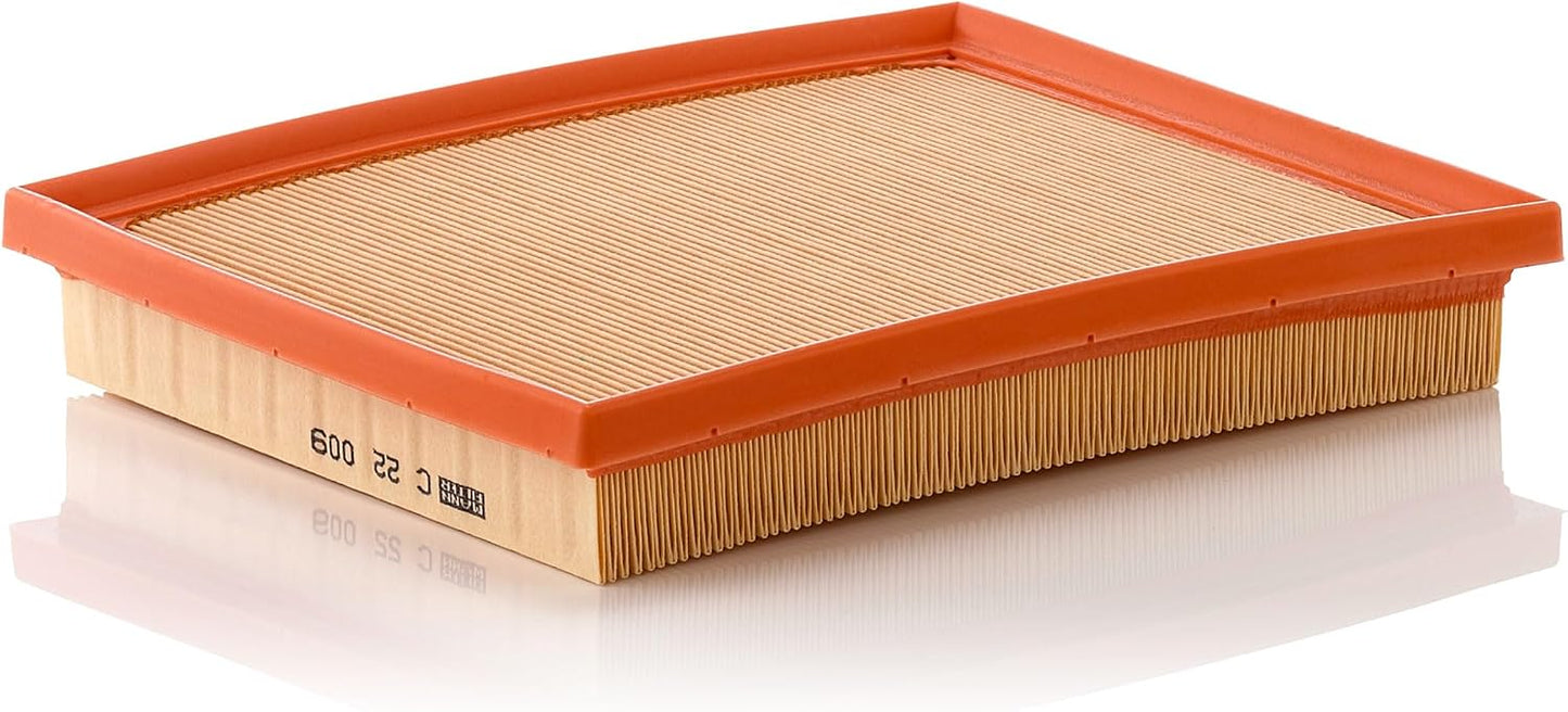 Filtro de Aire C 22 009 para Ventilación y Purificación