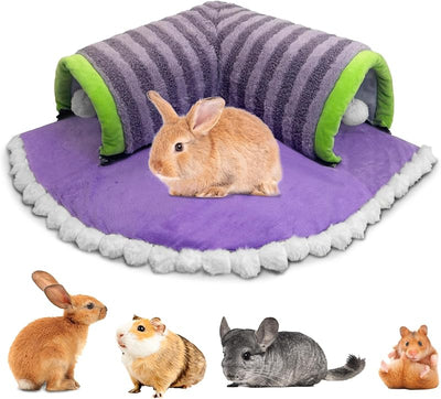 Cama túnel hámster lavable extraíble morado