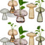 Juego 10 Frascos Vidrio Estación Hongos Florero Ámbar