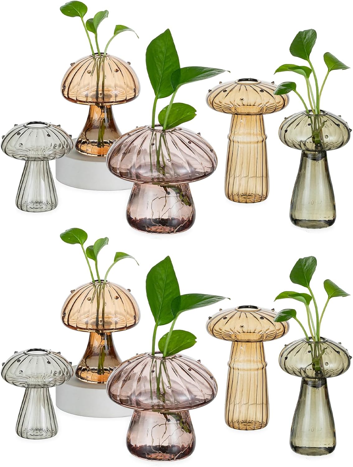 Juego 10 Frascos Vidrio Estación Hongos Florero Ámbar