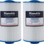 Filtro spa 6CH-402 2" rosca macho MPT