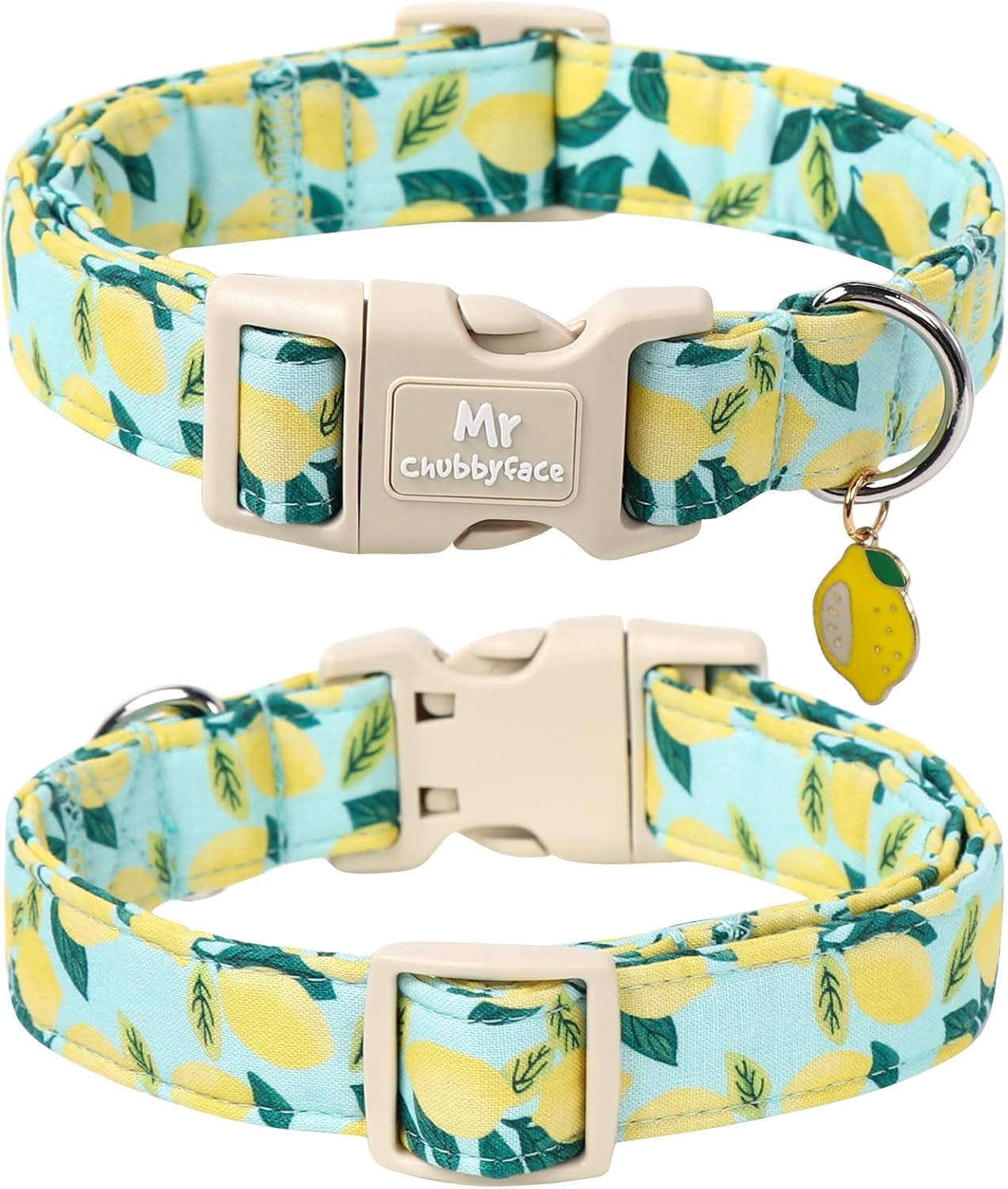 Collar perro verano ligero ajustable con hebilla plástico