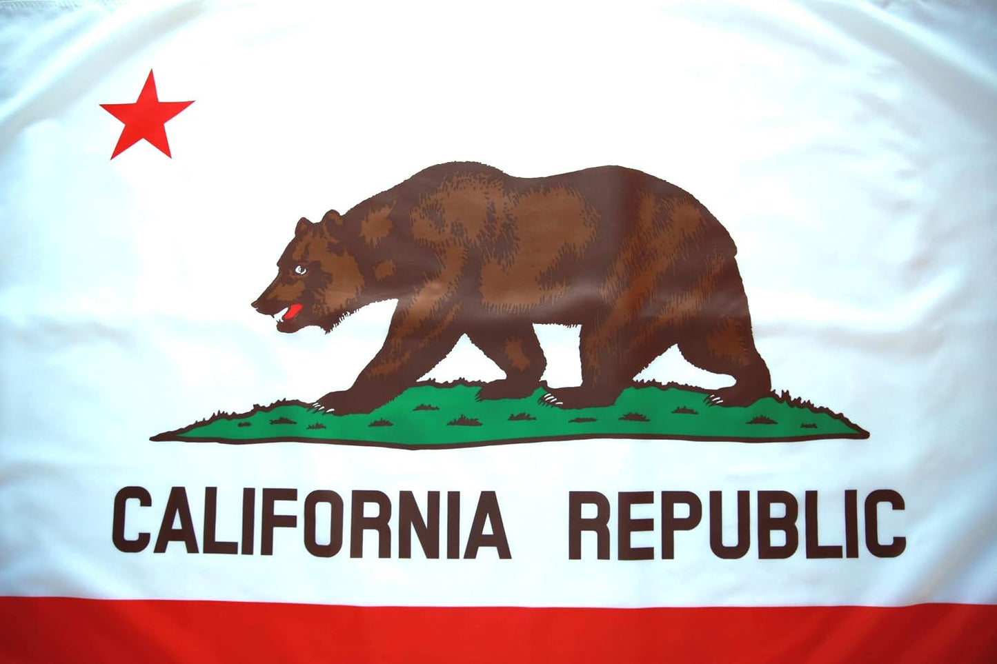 Bandera California 36x60pulg poliéster uso interior