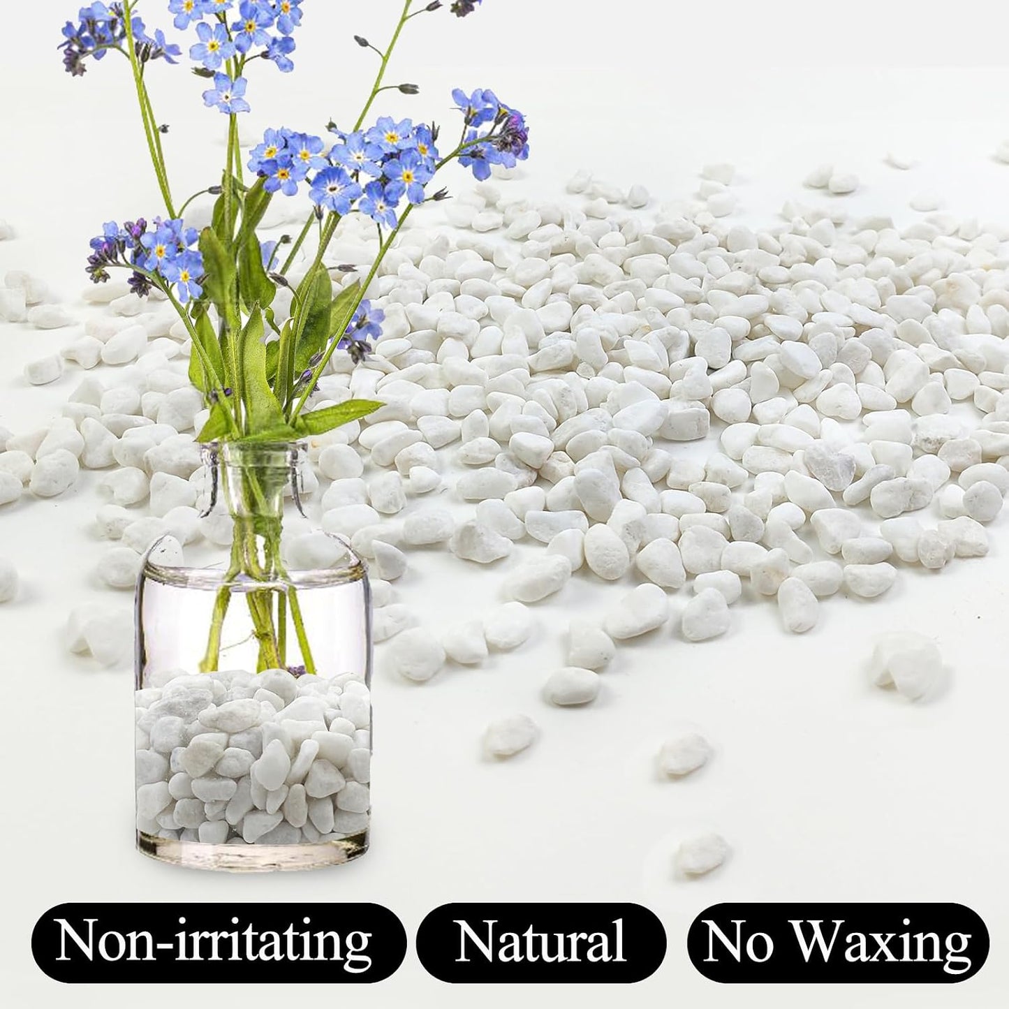 2 lb guijarros blancos para suculentas y cactus 3/8pulg