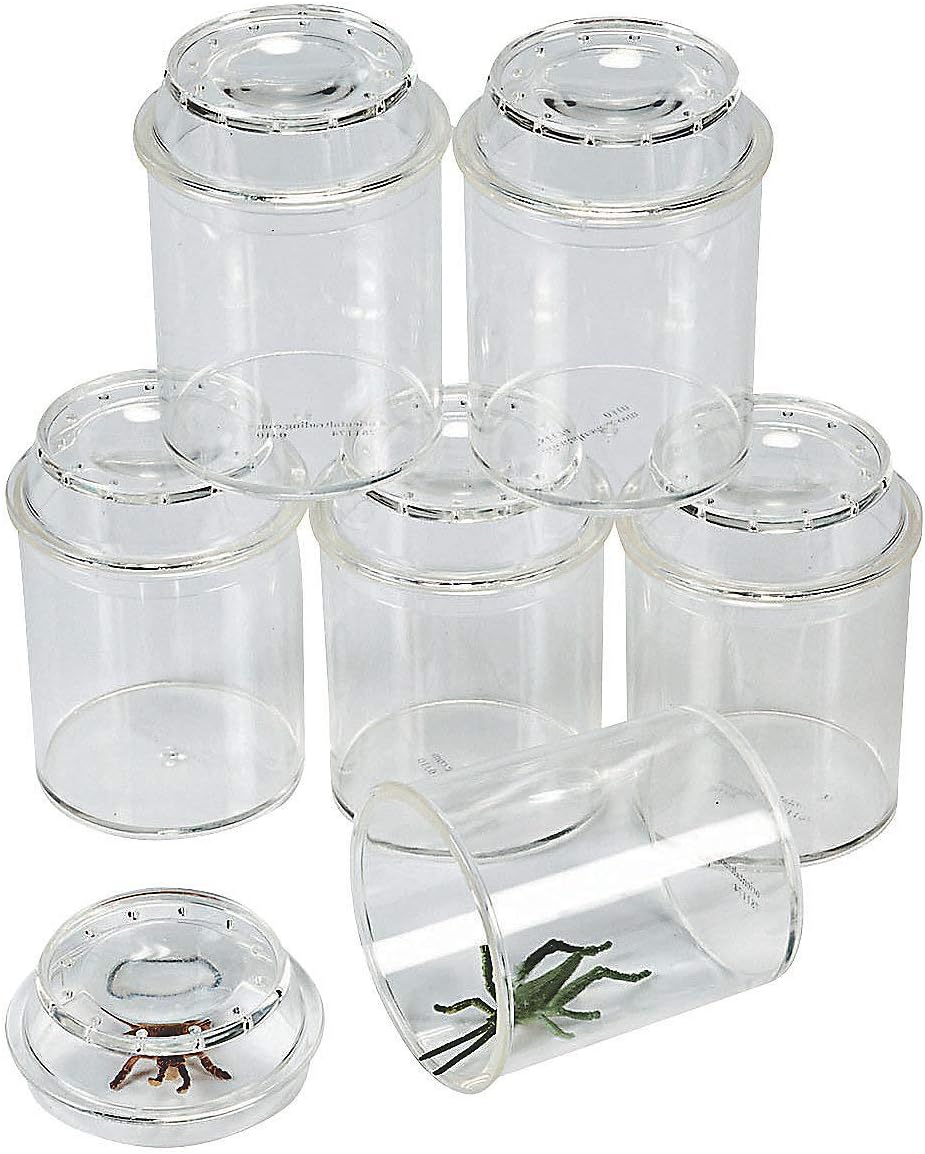 Tarros transparentes para insectos set ciencia niños