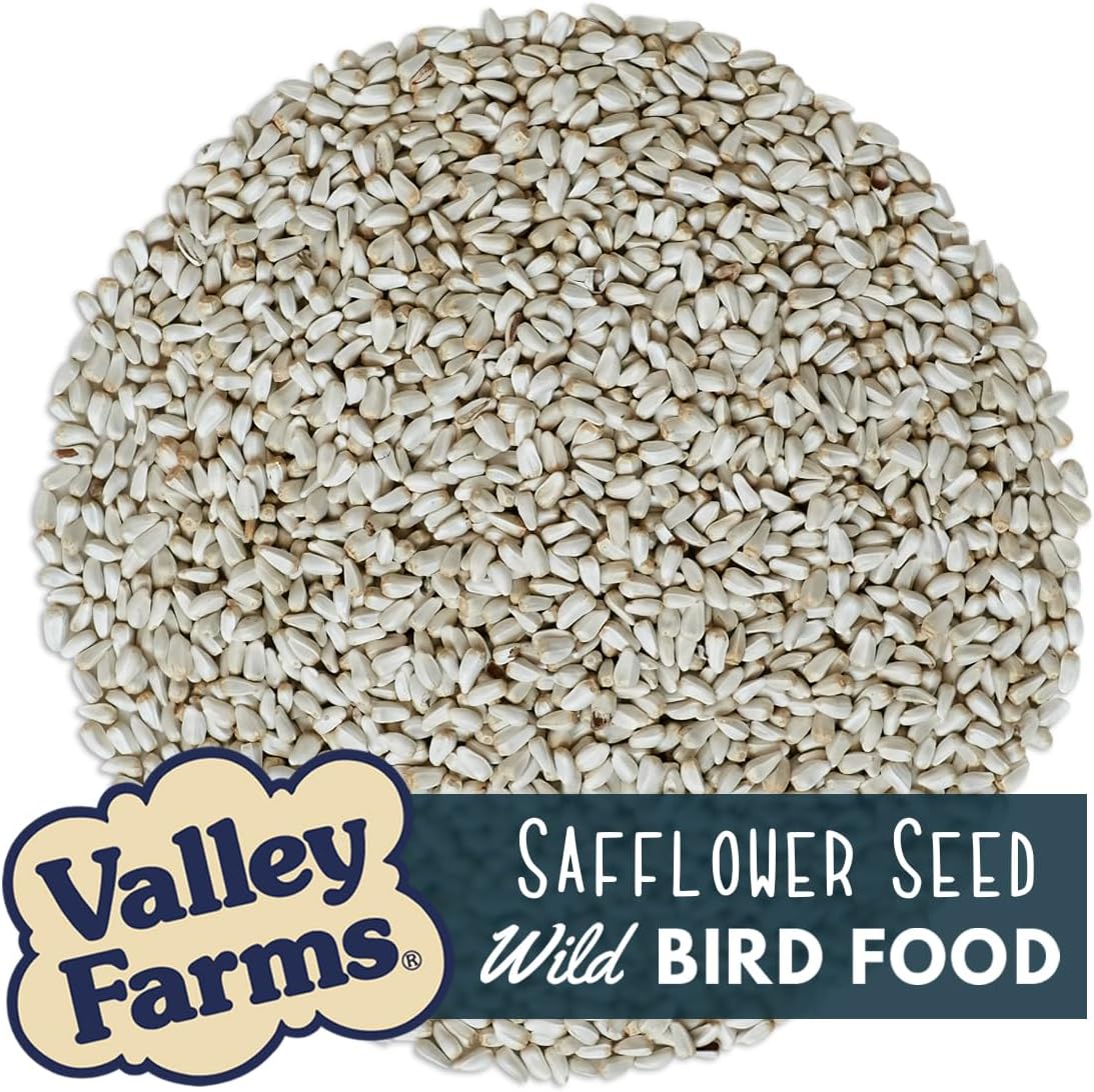 Alimento pájaros semillas cártamo 4lb comederos