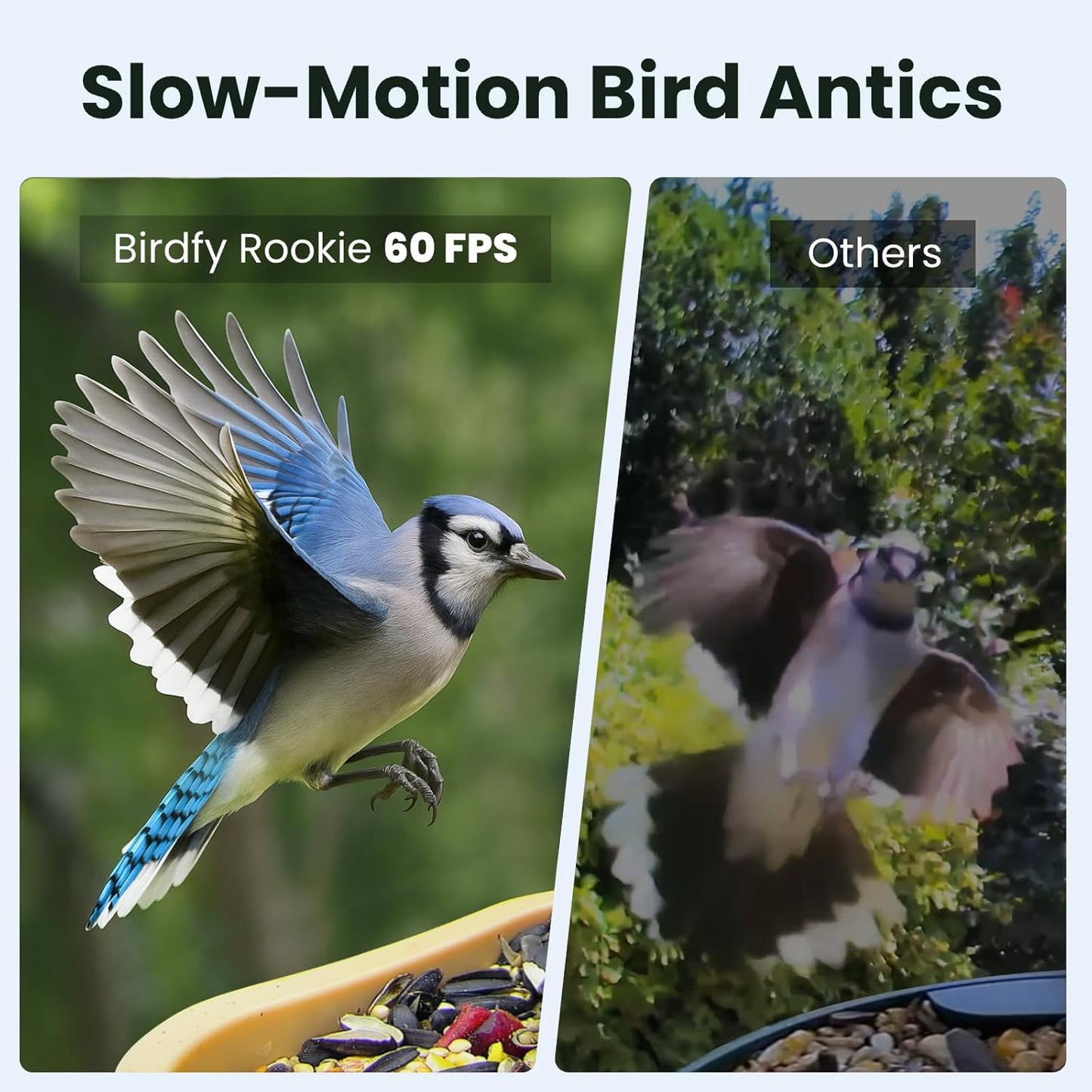 Cámara inteligente alimentadora pájaros visión nocturna IP66