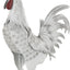 Escultura gallo metal jardín textura negra 15x6x18pulg