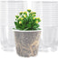 Macetas transparentes 5pulg 30pzas con drenaje para plantas