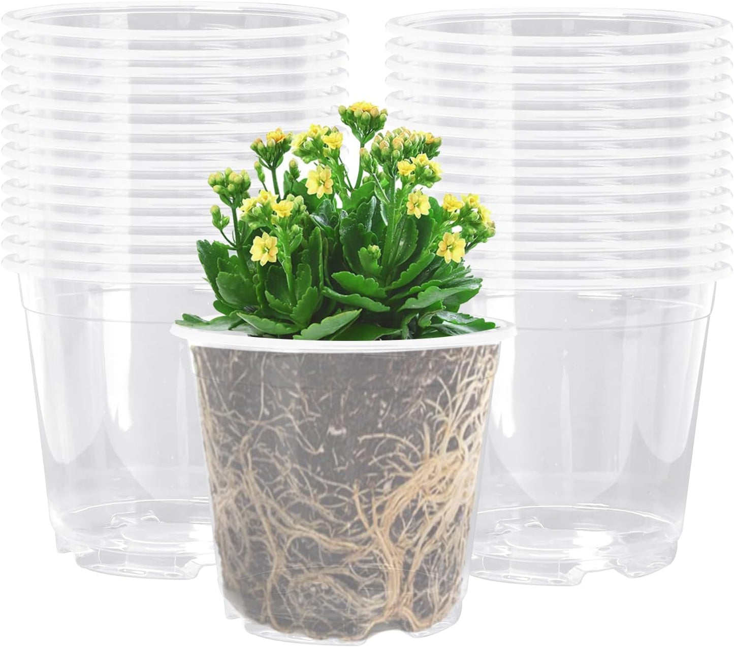 Macetas transparentes 5pulg 30pzas con drenaje para plantas