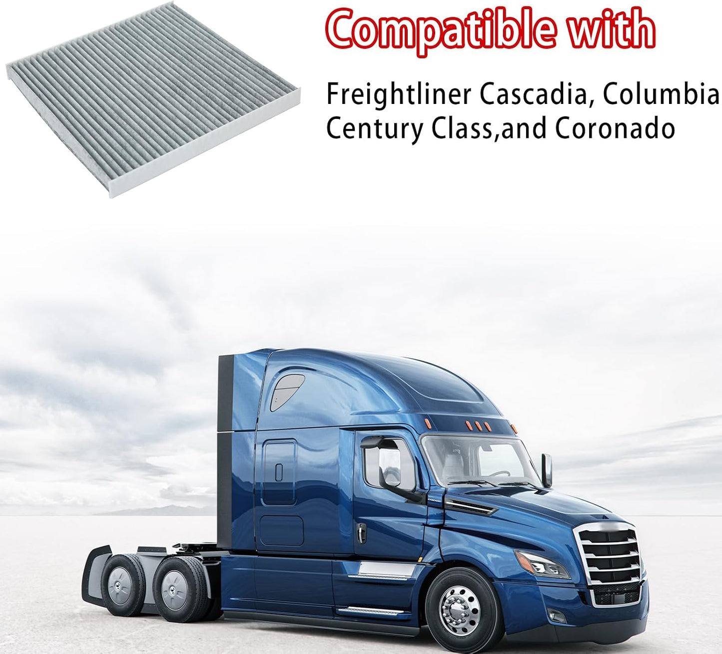 Filtro aire cabina Freightliner set 4