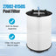 Filtro repuesto piscina Sta-Rite PLM150 con purga aire