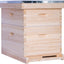 Kit 10 marcos colmena Langstroth cajas profunda mediana