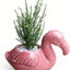 Maceta cerámica drenaje suculentas cactus decoración