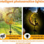 Luz hada flor luna solar hierro forjado jardín LED inalámbrica