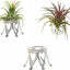 3 Soportes Plateados para Tillandsia Decoración Hogar Oficina