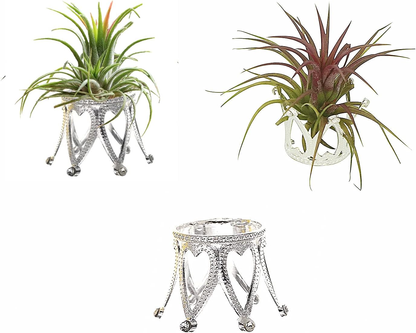 3 Soportes Plateados para Tillandsia Decoración Hogar Oficina