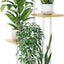 Soporte plantas 5 niveles madera metal para interior