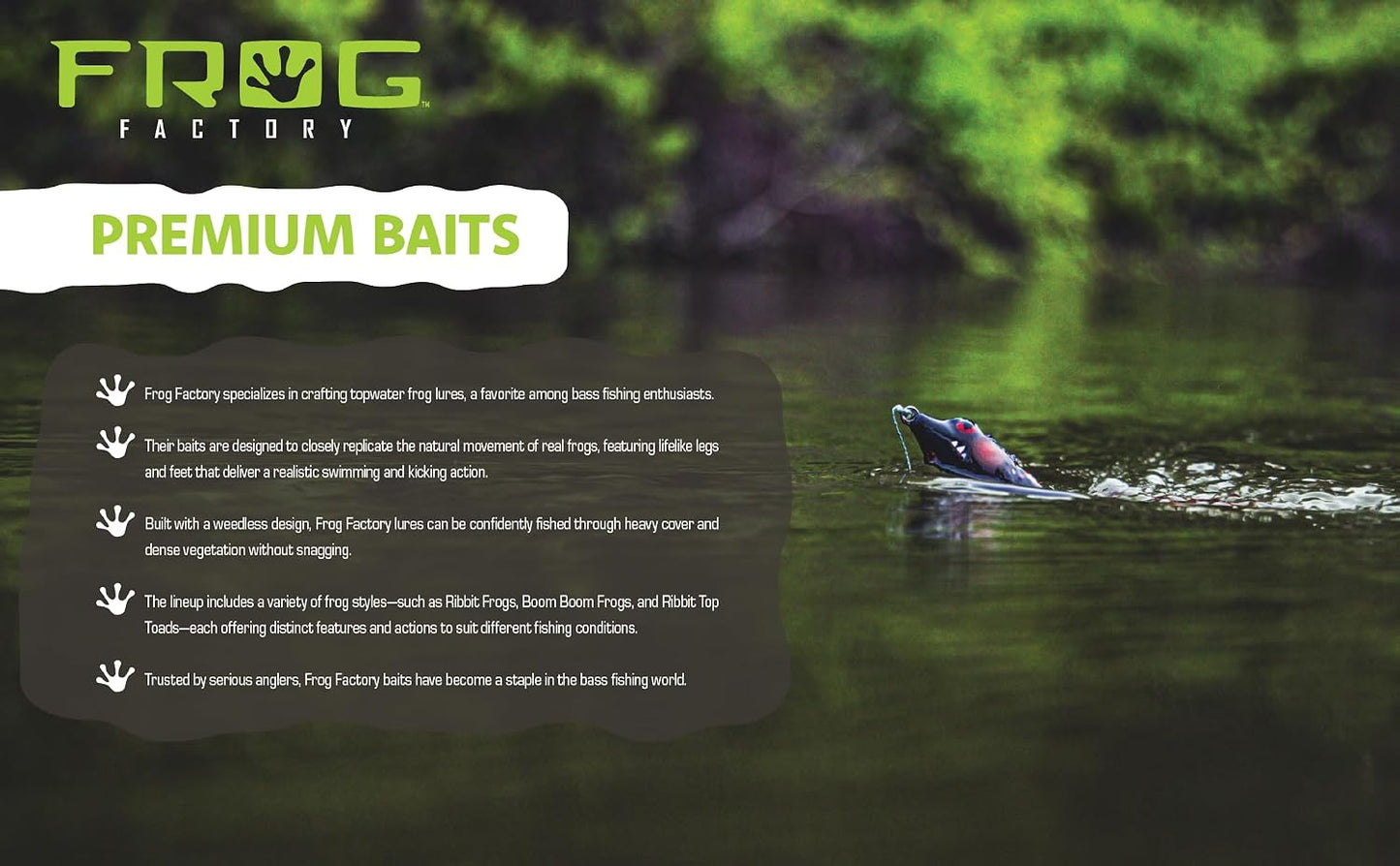 Paquete 5 Ribbit Frog SHAD