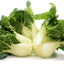 1000 semillas Bok Choy enanas para plantar embalaje impermeable