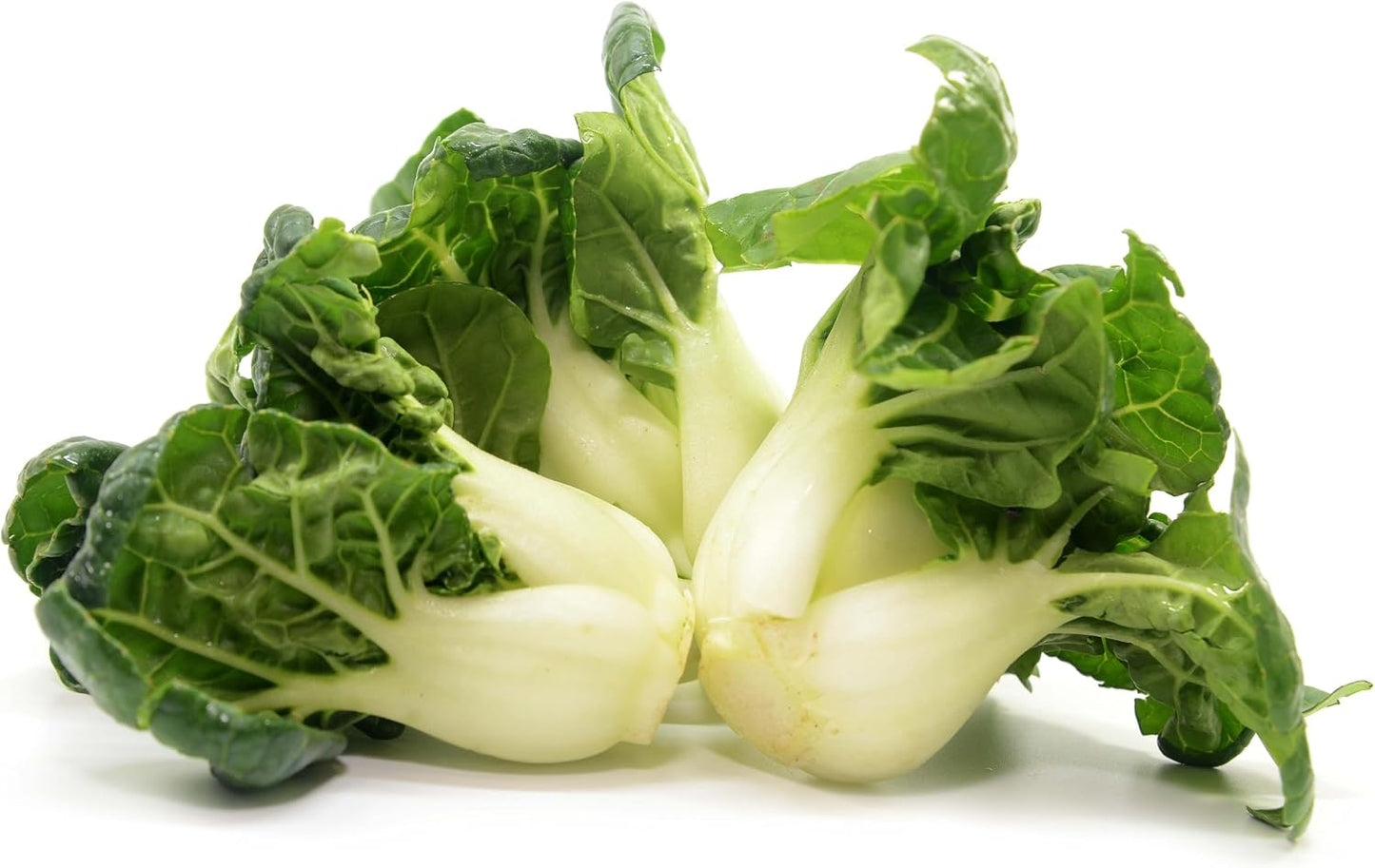 1000 semillas Bok Choy enanas para plantar embalaje impermeable