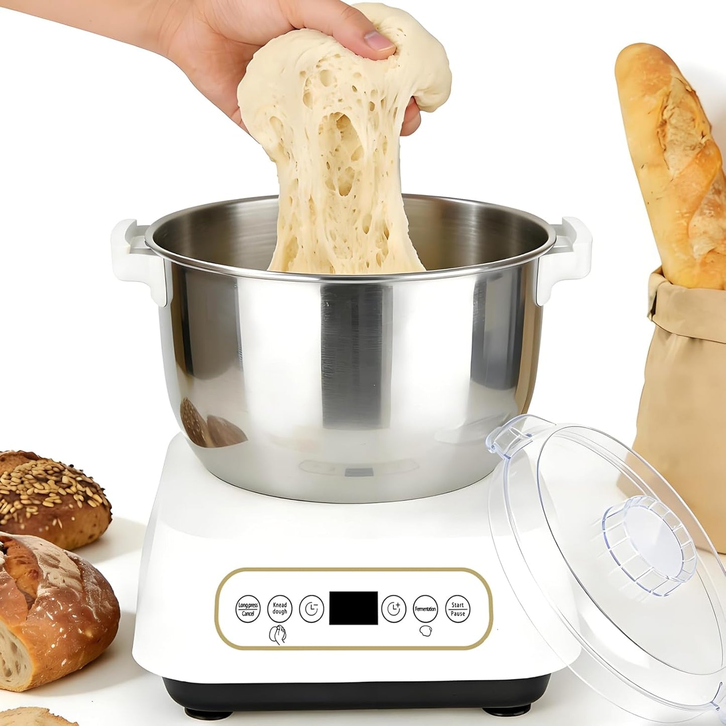 Máquina masa eléctrica con fermentación cuenco acero inox 304 7L