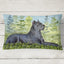 Almohada decorativa lona lavable 12x16 para sofá cama patio