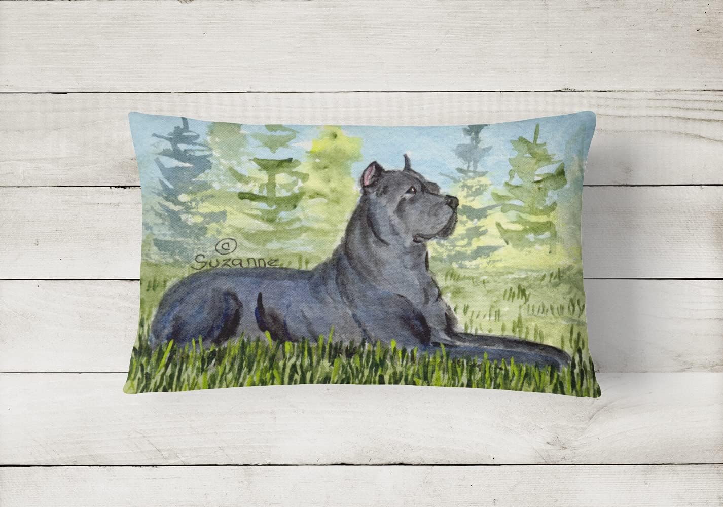 Almohada decorativa lona lavable 12x16 para sofá cama patio