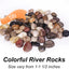 Rocas decorativas 5lb para macetas 1-1 1/2"