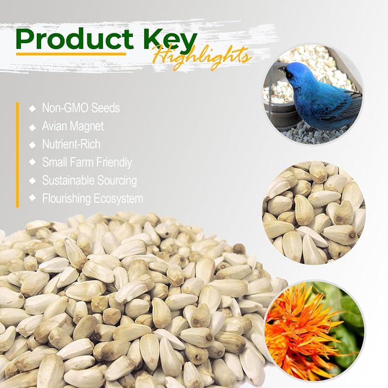 Semilla cártamo vida silvestre para aves 6lb