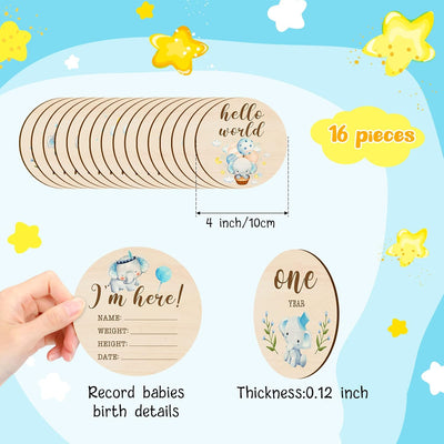 16 Tarjetas Madera Meses Bebé Círculos Doble Cara Elefante Azul