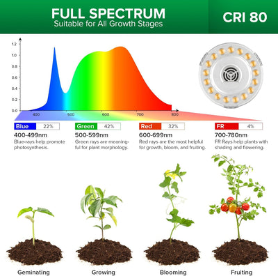 Lámpara LED crecimiento plantas 4 cabezales trípode ajustable 35-64