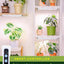Luz cultivo plantas interior LED 6/12/16H