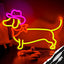 Letrero Neón Dachshund Sombrero Vaquero Tienda Mascotas