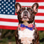 Collar perro bandera USA corbatín ajustable tamaño M