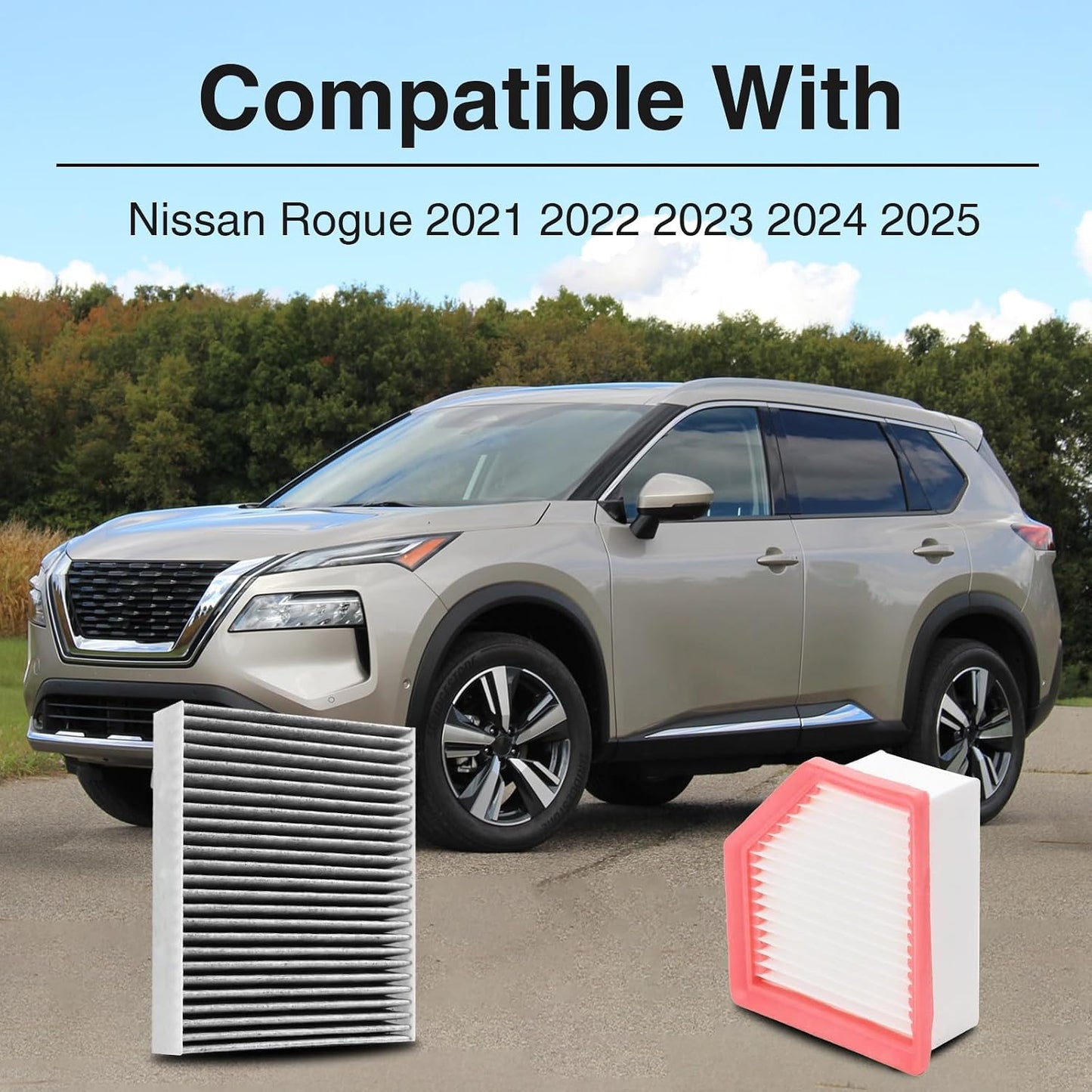 Filtro aire motor Nissan Rogue 1.5L con carbón