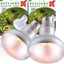 2 Bombillas Calor UVA 75W para Reptiles Infrarrojo