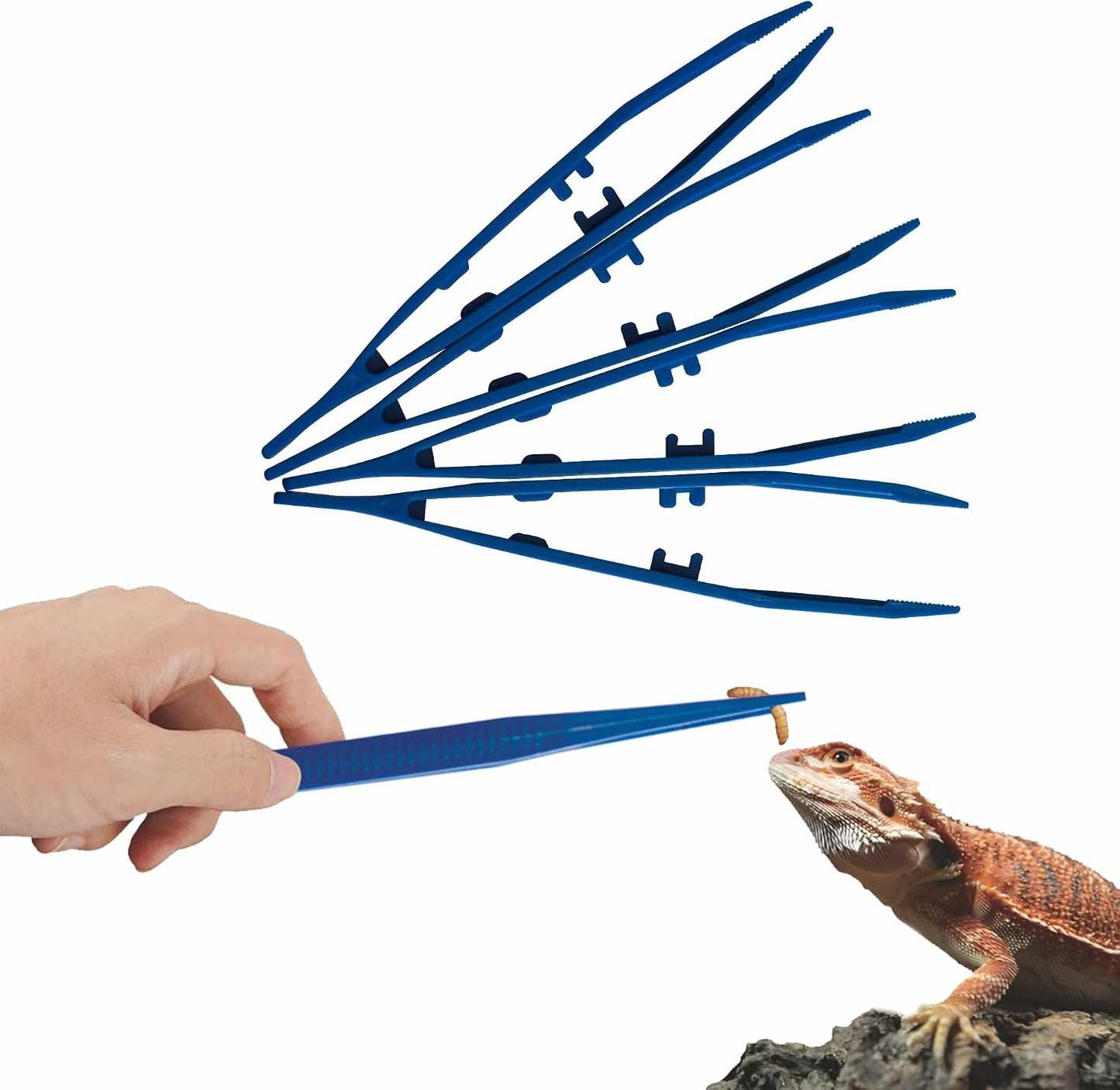 Set 5 Pinzas Alimentación Reptiles Antiderrap Higiénicas