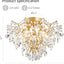 Lámpara techo cristal 5 luces dorado 12pulg alto